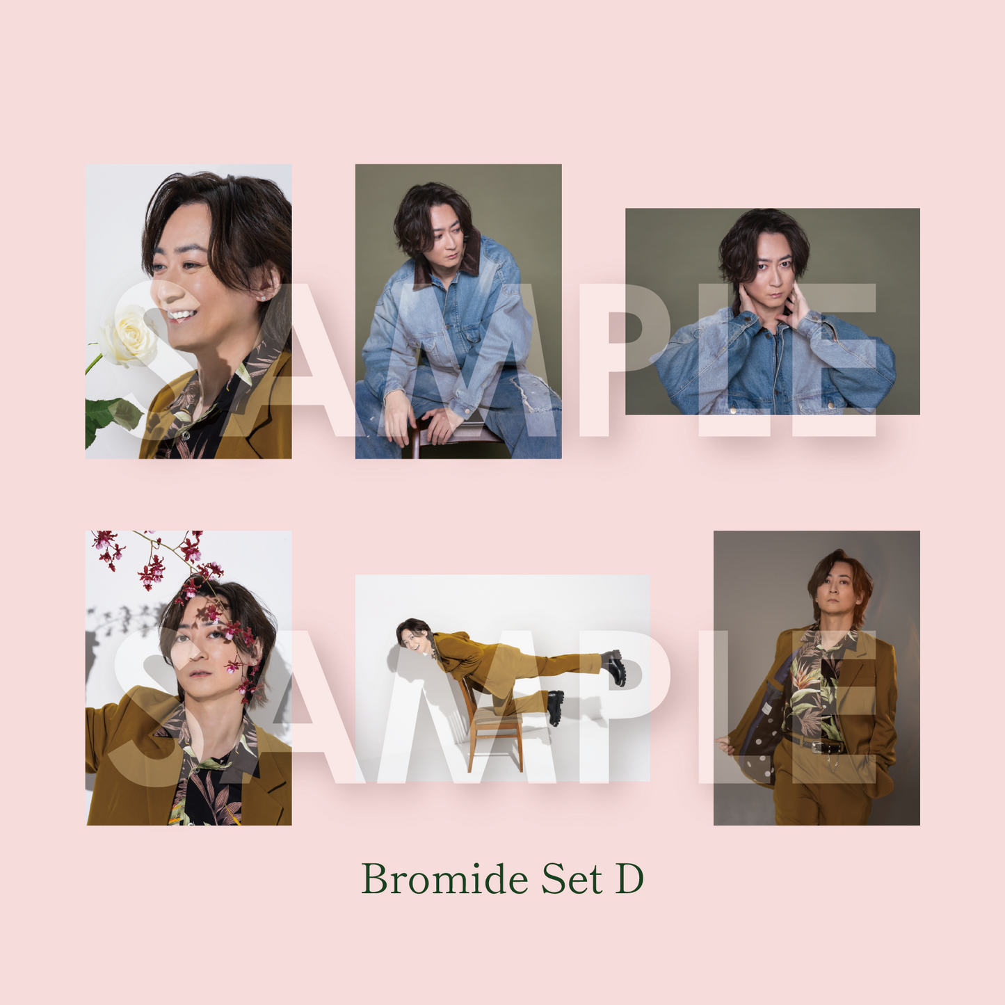 <wakA-Zcre> Bromide Set D (6pcs)